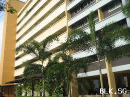 Dengue Cluster @ 146